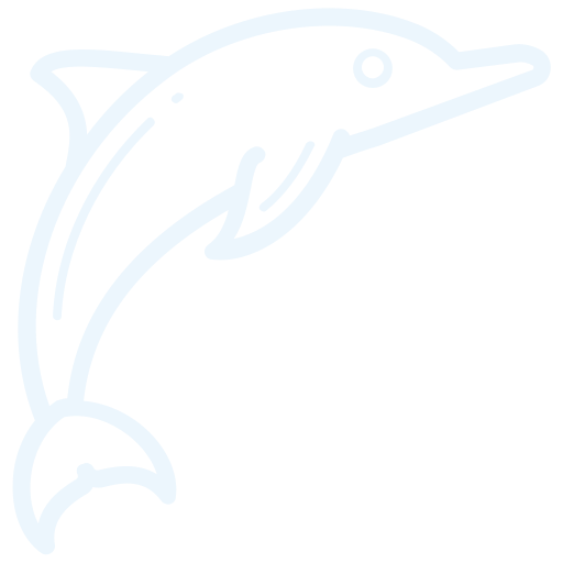 Ocean City Dolphin Tours NJ